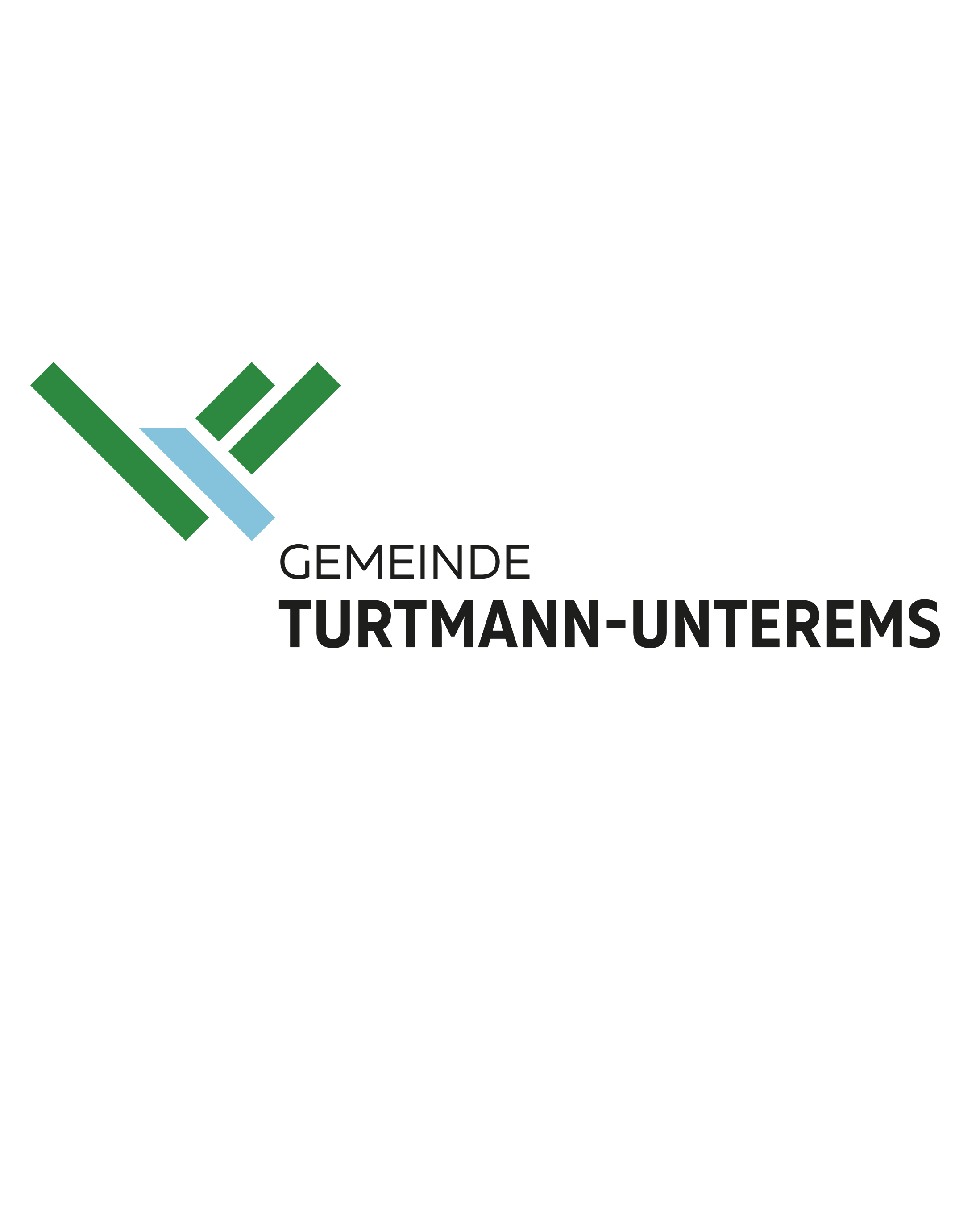 Gemeinde Turtmann-Unterems Logo
